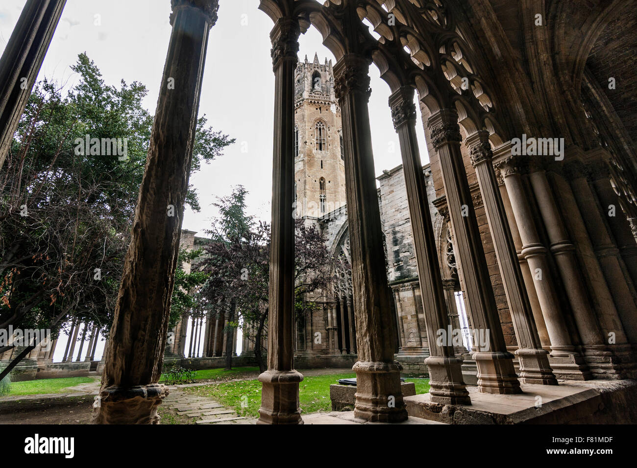La Seu Vella, Lleida. Cloître et clocher. Banque D'Images