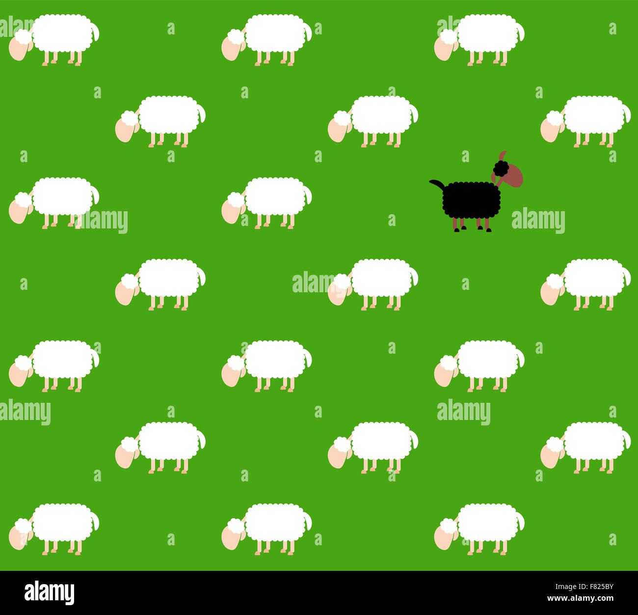 Mouton noir avec des moutons blancs sur un vert pâturage. Arrière-plan transparent peut être créé dans toutes les directions. Banque D'Images