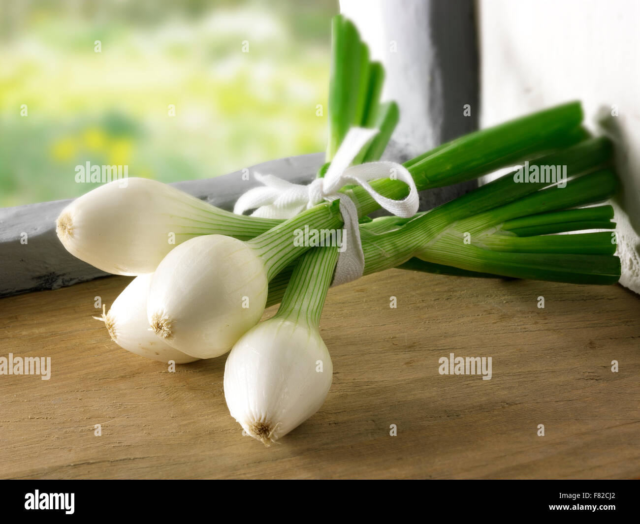 La vie encore d'une bande d'oignons de printemps frais, salade d'oignons, dans un cadre de cuisine Banque D'Images