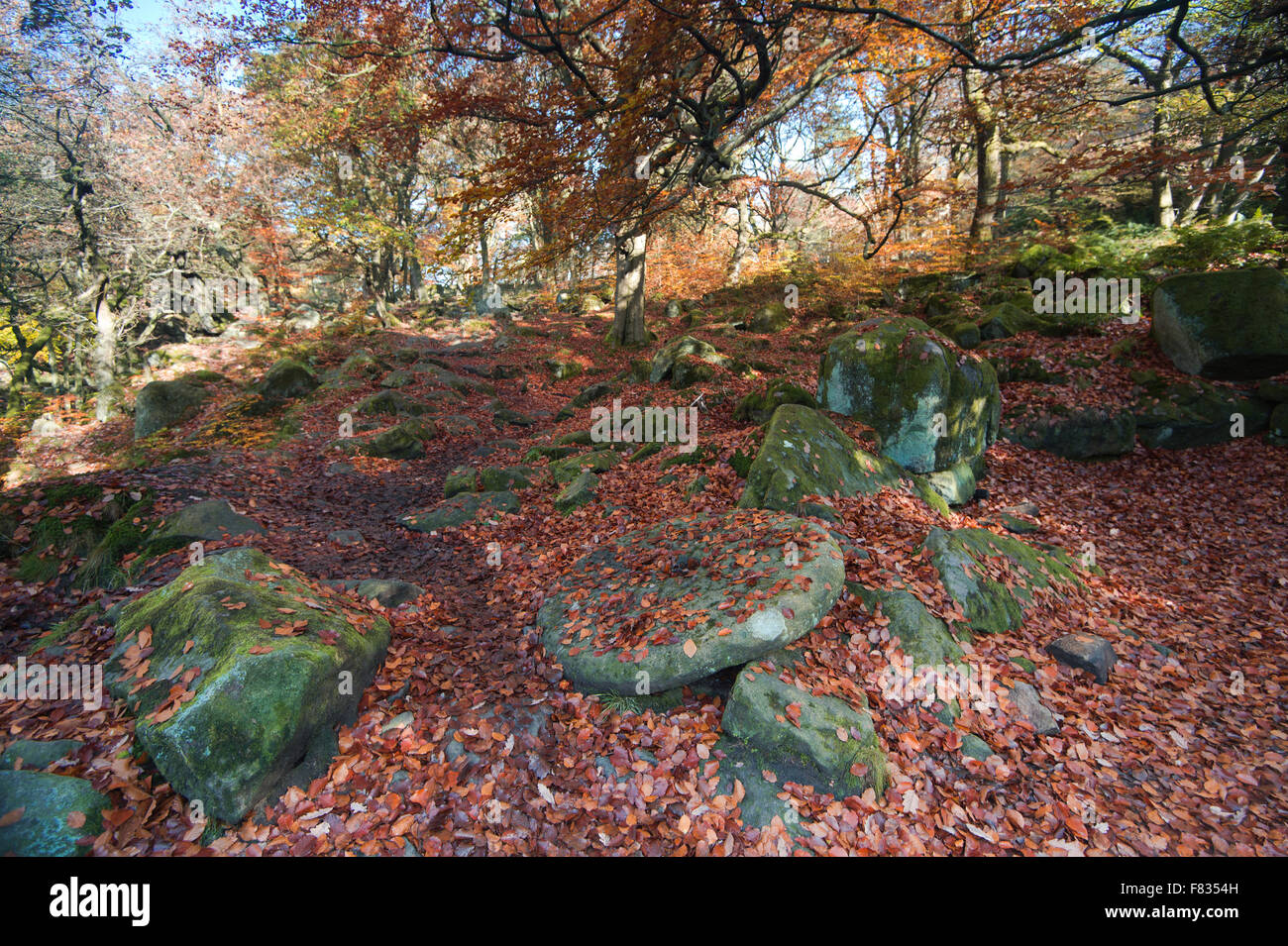 Gorge Padley en automne, près de Grindleford, parc national de Peak District, Derbyshire, Angleterre, Banque D'Images