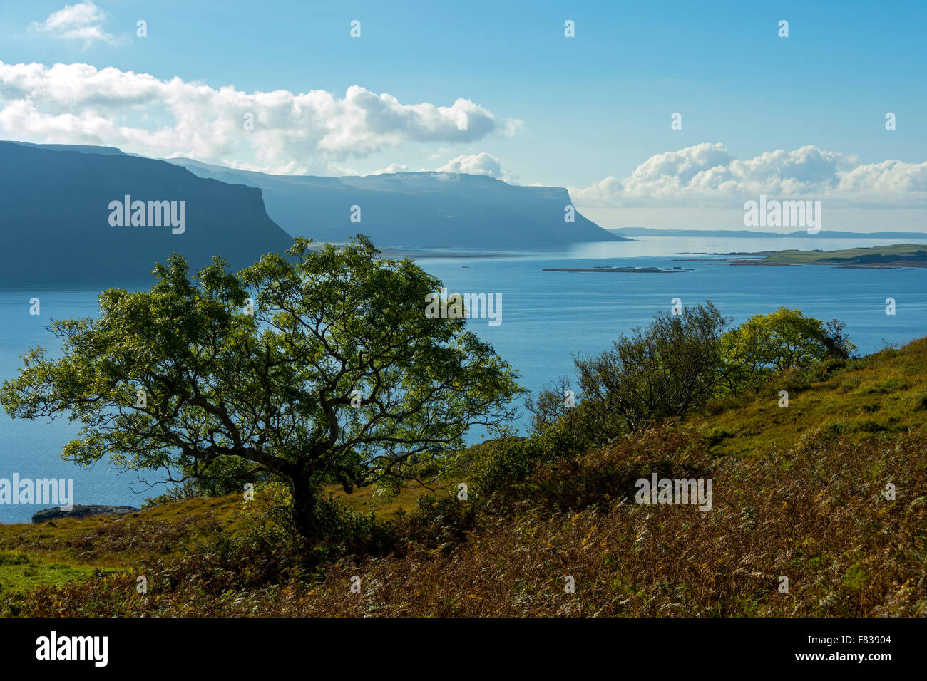 Les falaises de Creag Mhór (à gauche) et la péninsule Ardmeanach sur le Loch na Keal, Isle of Mull, Argyll and Bute, Ecosse, Royaume-Uni Banque D'Images