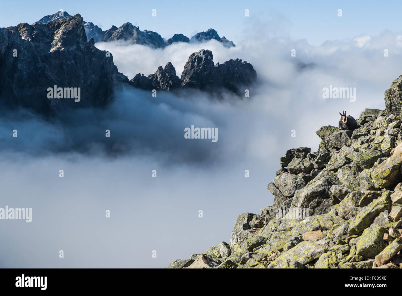 Les nuages au-dessus des Tatras - panorama Banque D'Images
