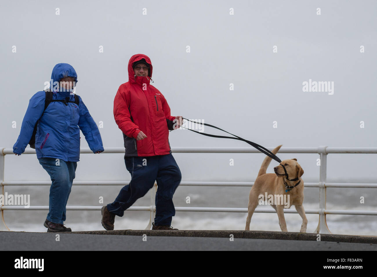 Pays de Galles Aberystwyth UK, Samedi 05 Décembre 2015 Un couple lutte pour marcher leur chien sur la promenade comme le quatrième ouragan de la saison, Storm Desmond, reprend force et commence à batter la côte à l'ouest du pays de Galles, Aberystwyth Photo : © Keith Morris / Alamy Live News Banque D'Images