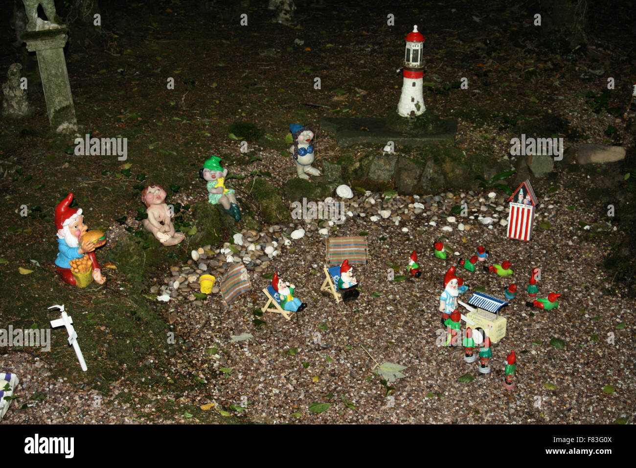 Réserver Gnome et jardin de fleurs sauvages à l'Ouest près de North Devon Putford Rackenford Banque D'Images