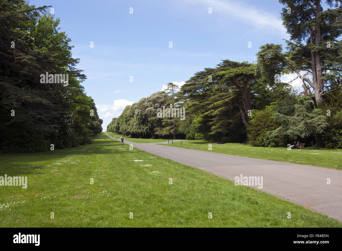 Les gens dehors au soleil, Cirencester Park, Cirencester, Gloucestershire, Cotswolds, Royaume-Uni Banque D'Images