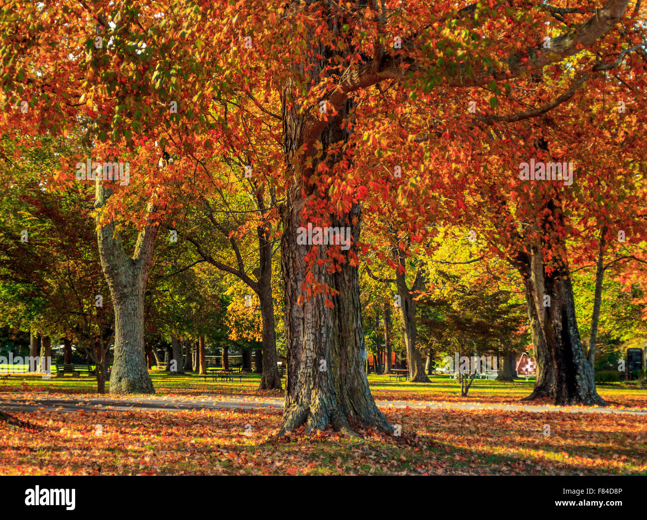 Dans l'après-midi chaud d'automne Stephen Decatur Park, Berlin, Maryland, États-Unis Banque D'Images