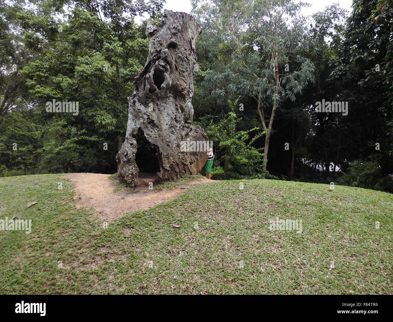 Jardin Botanique de Singapour un endroit amusant pour les personnes Banque D'Images