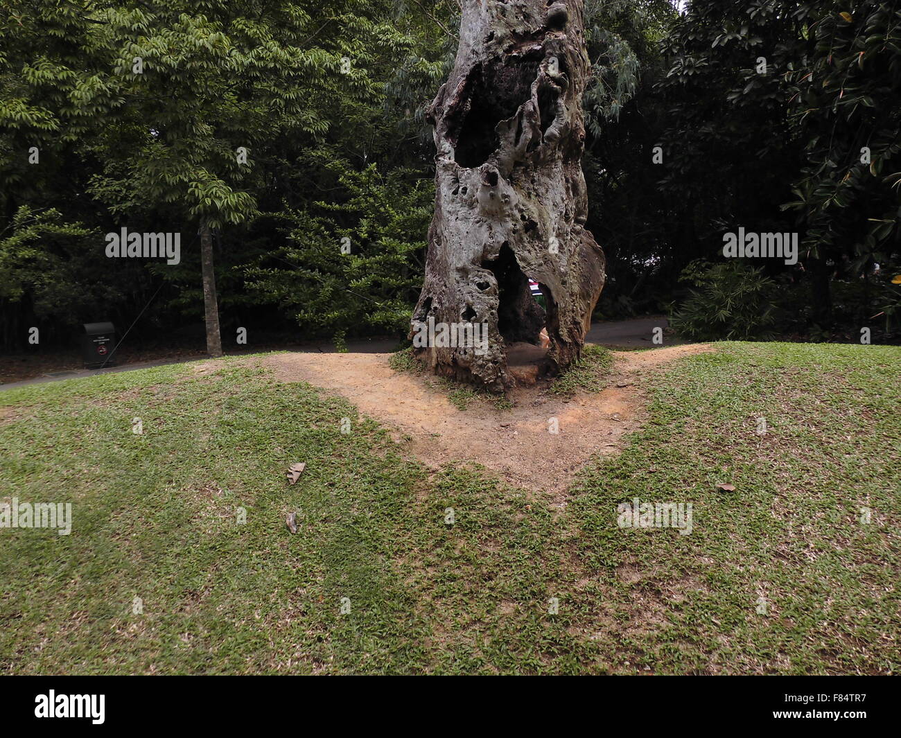 Jardin Botanique de Singapour un endroit amusant pour les personnes Banque D'Images