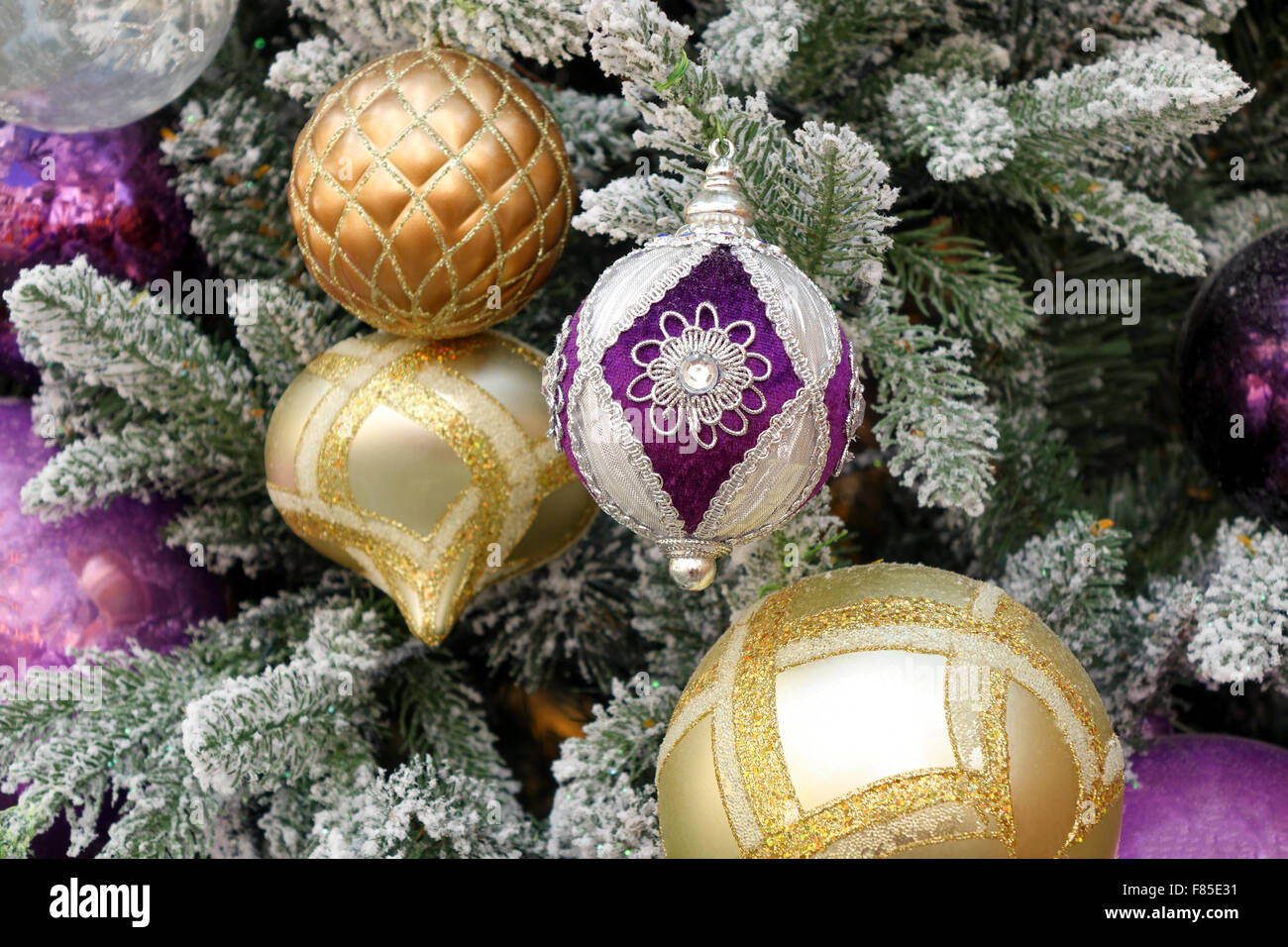 Close up de couleur violette ornement, au centre, à l'arbre de Noël avec plusieurs autres ornements couvertes de neige. Banque D'Images
