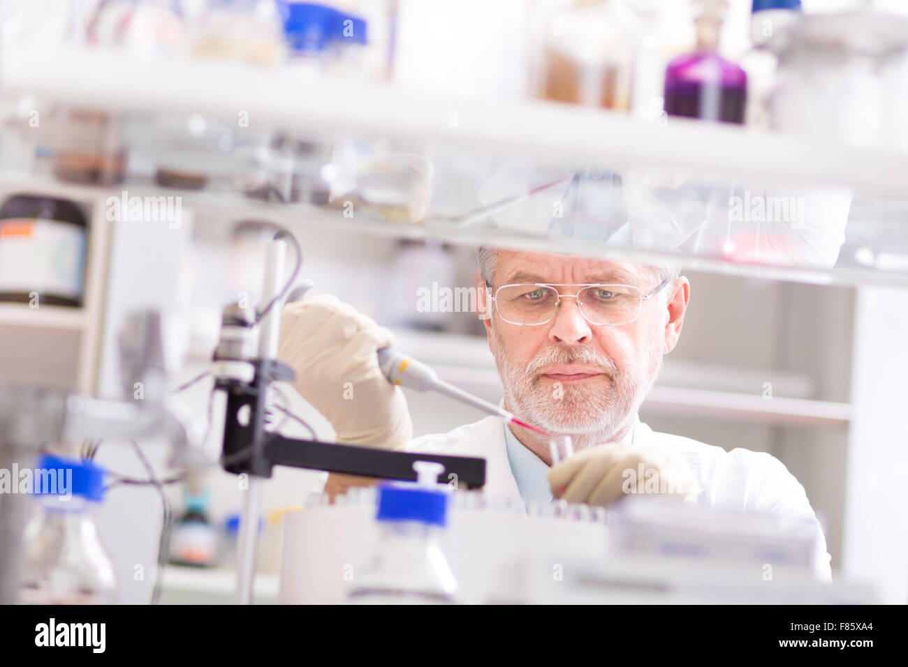 Chercheur scientifique la recherche en laboratoire. Banque D'Images