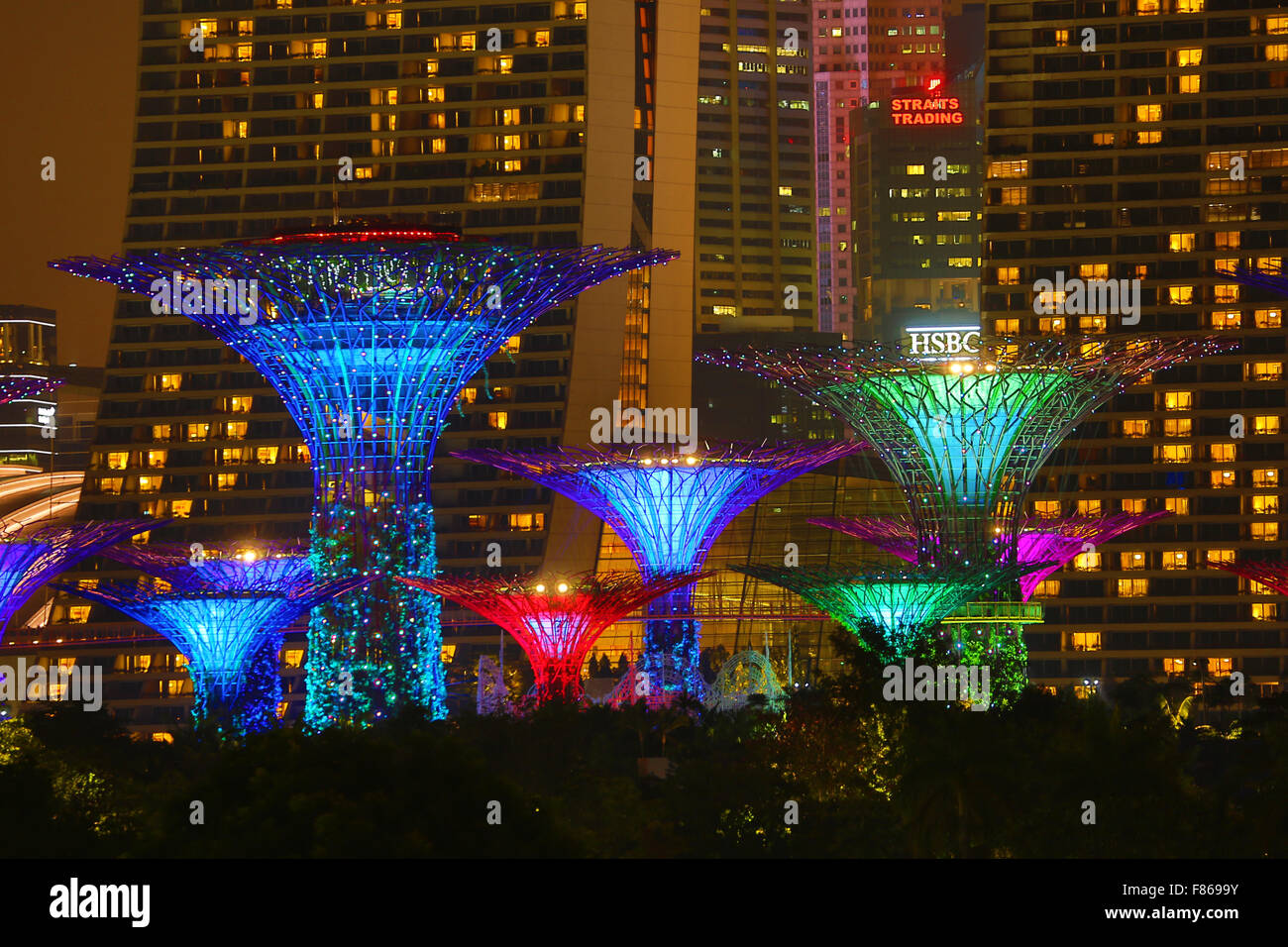 Scène de nuit de l'allumé dans l'Supertrees Supertrees Grove dans les jardins, près de la baie, Singapour, République de Singapour Banque D'Images