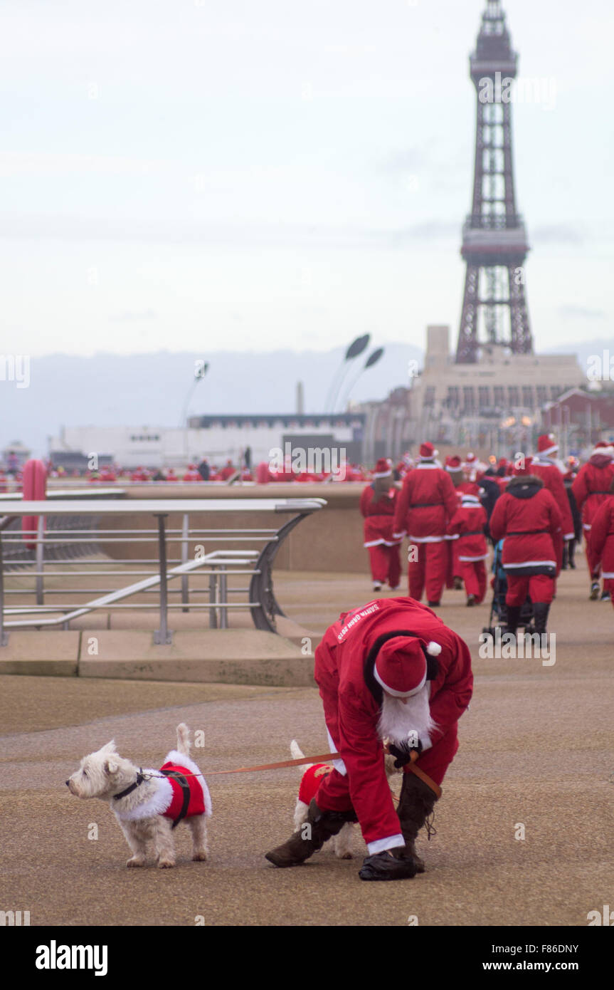 Blackpool, Royaume-Uni. 6e décembre 2015. Santa's dash événement a lieu le long de la promenade de Blackpool central pier de Sandcastle. Des centaines de Santa's de tous âges participer même doggy Santa's et un chat ! L'événement est exécuté pour l'organisme de bienfaisance de la Trinité cause. Crédit : Gary Telford/Alamy live news Banque D'Images