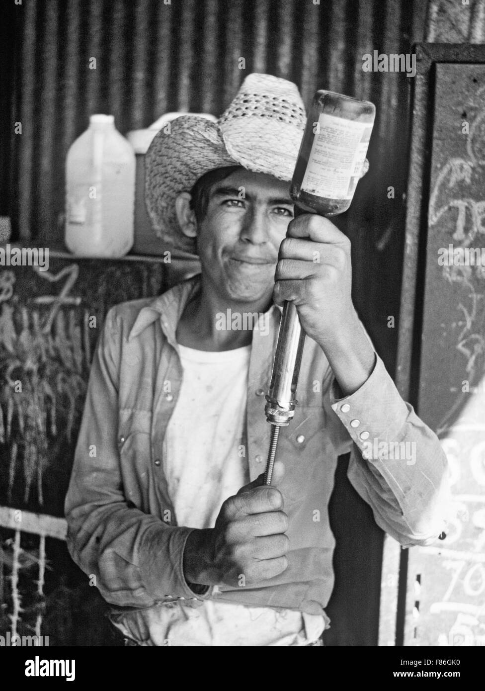 Un innoculates cowboy mexicain du bétail sur un petit ranch, près de El Paso, Texas Banque D'Images