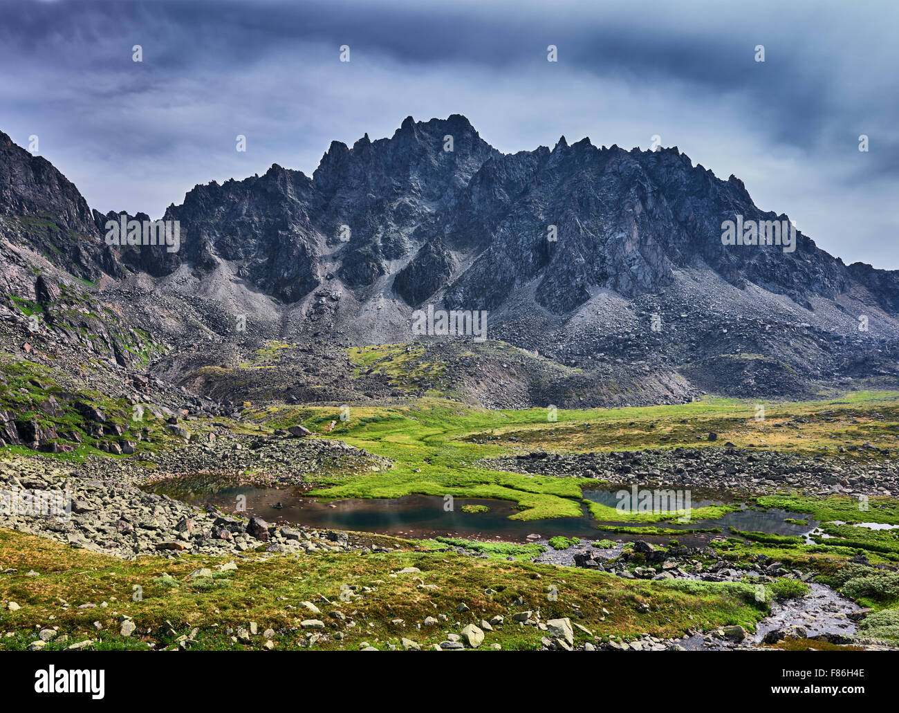 La toundra sibérienne Boggy dans les montagnes. Orient Sayan Banque D'Images