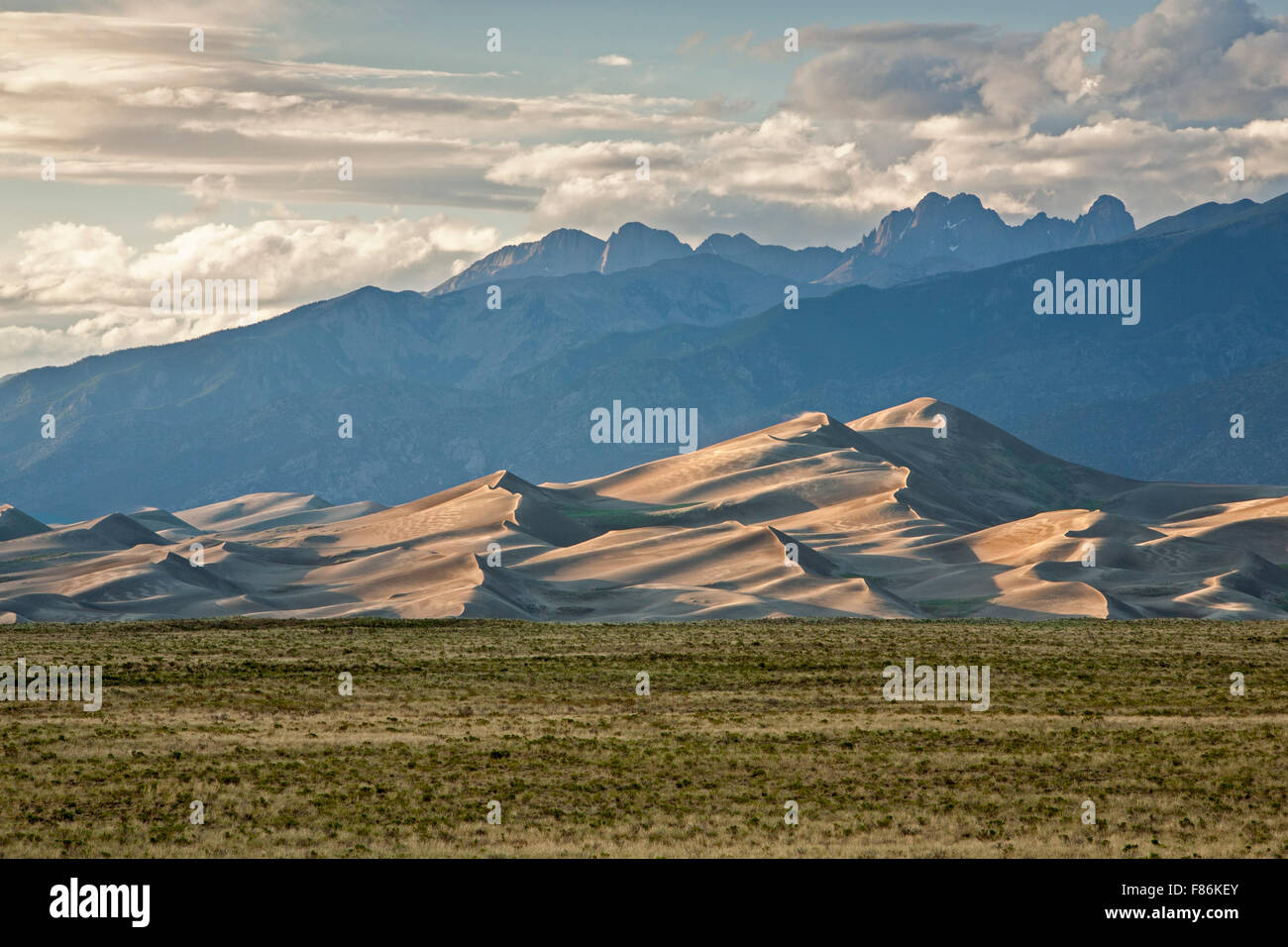 L'herbe, de dunes et de montagnes Sangre de Cristo, Great Sand Dunes National Park and Preserve, Colorado USA Banque D'Images