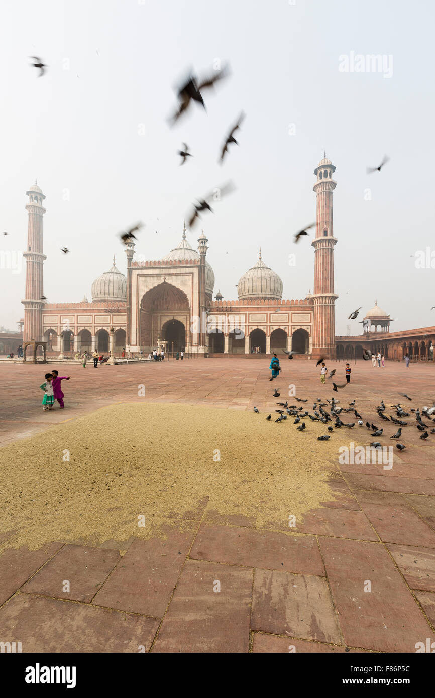 La mosquée Jama Masjid à Delhi Inde Banque D'Images