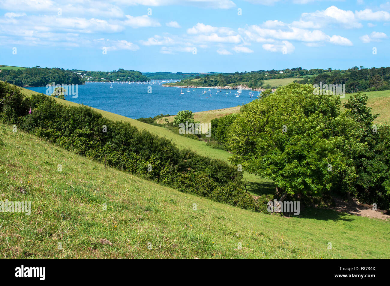 Une vue sur la campagne autour de la rivière helford à Cornwall, England, UK Banque D'Images Une vue sur la campagne autour de la rivière helford à Cornwall, England, UK Banque D'Images