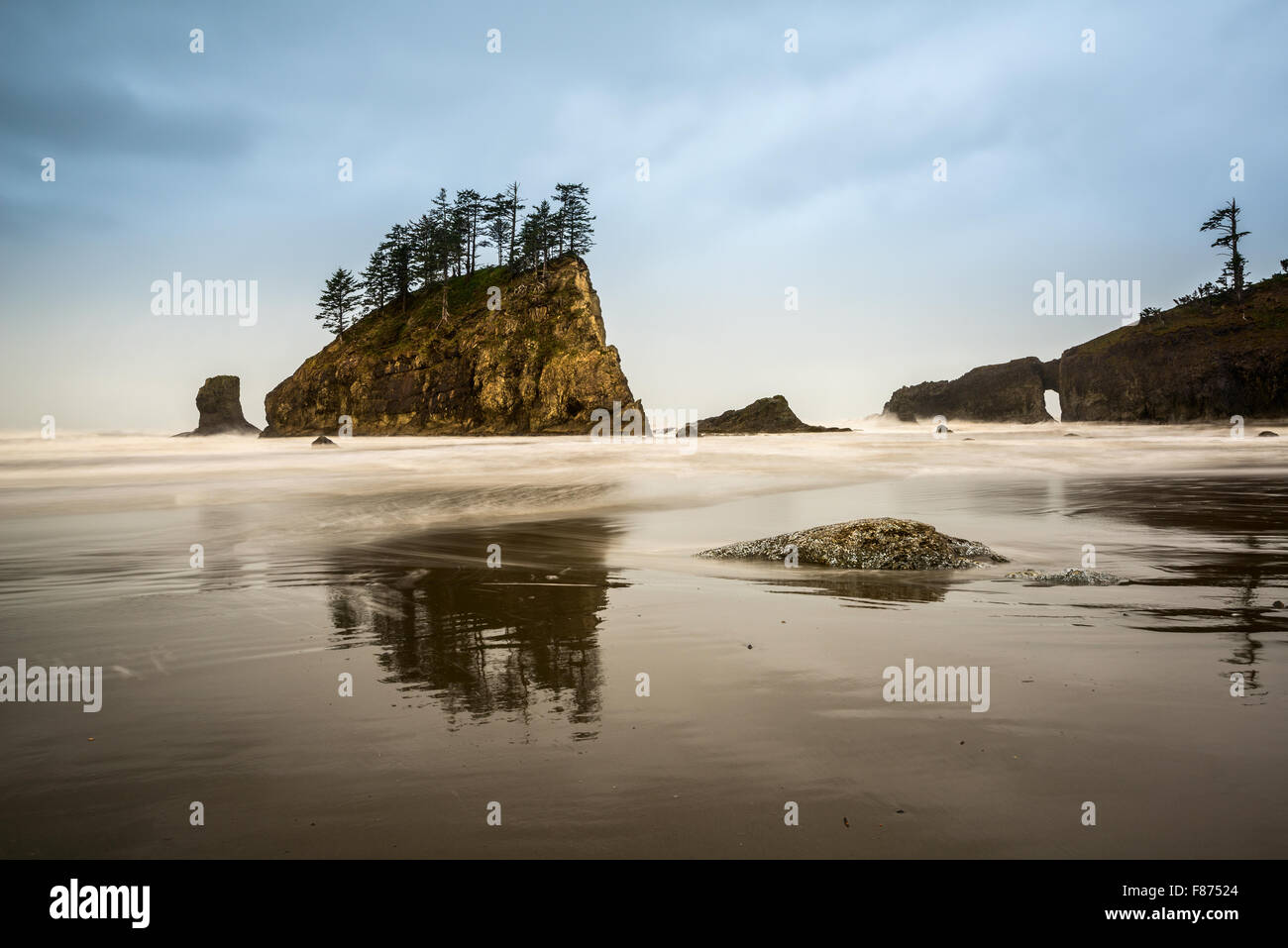 Deuxième plage dans le Parc National Olympique situé dans l'État de Washington. Banque D'Images