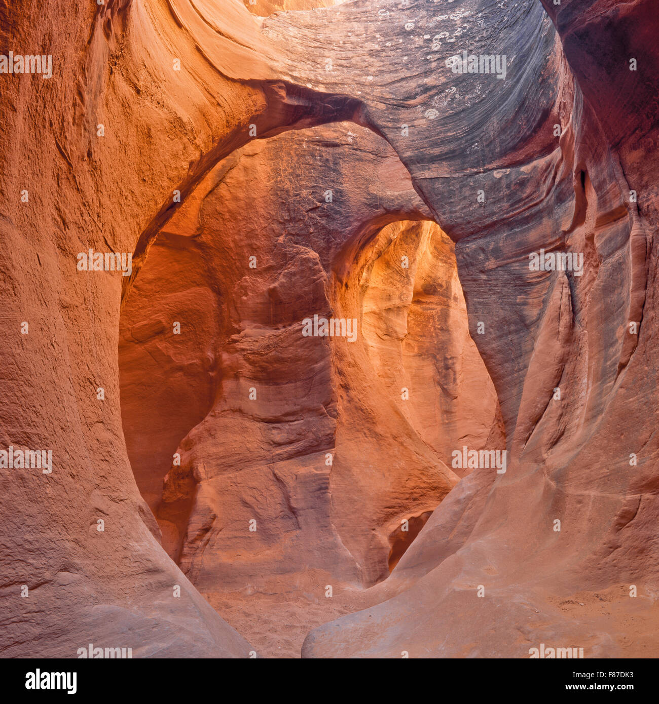 Canyon en fente peek-a-boo gulch près de Escalante, Utah Banque D'Images