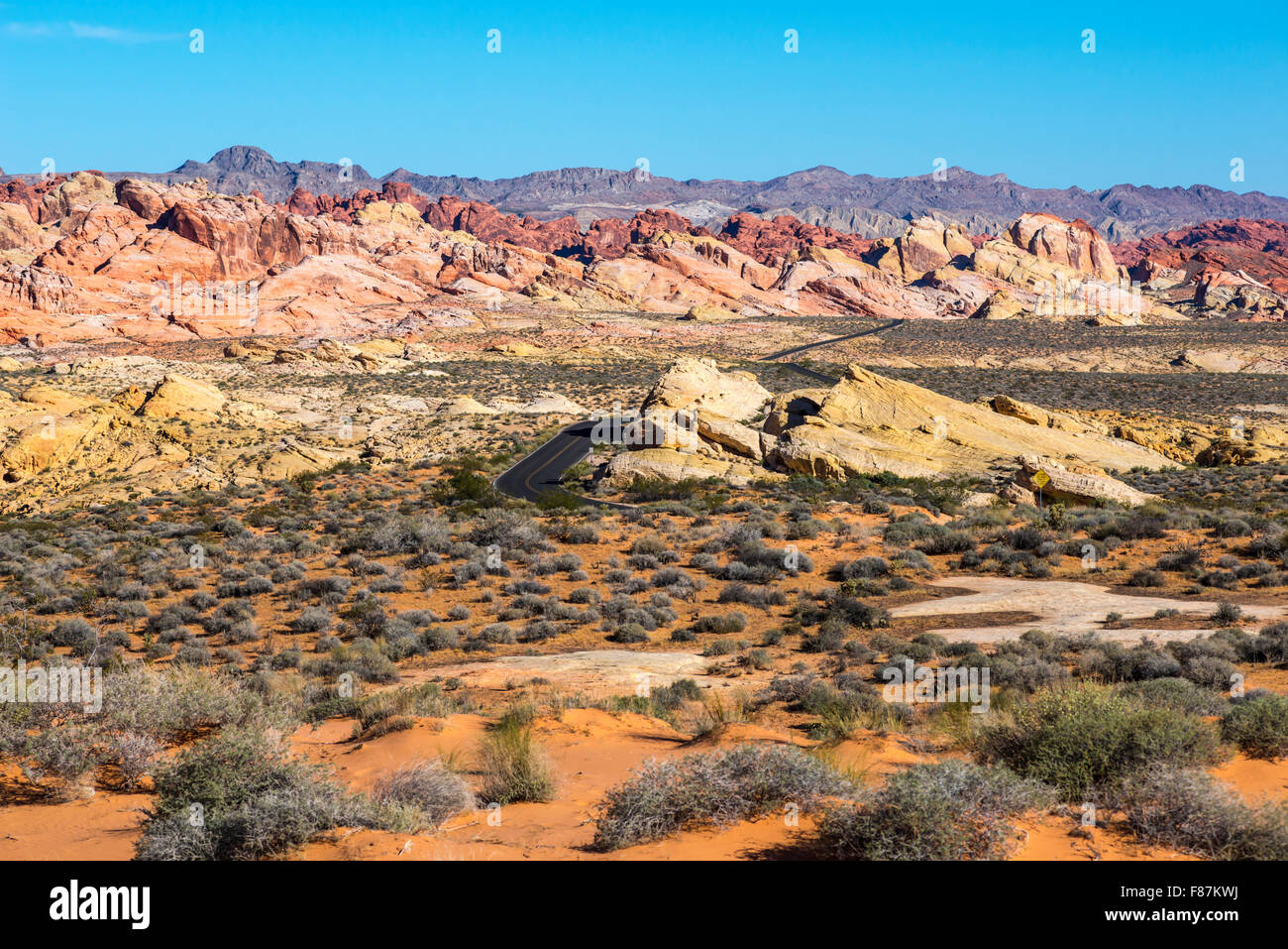Scenic Route Route et paysage désertique. Vallée de Feu Park, Nevada, United States. Banque D'Images