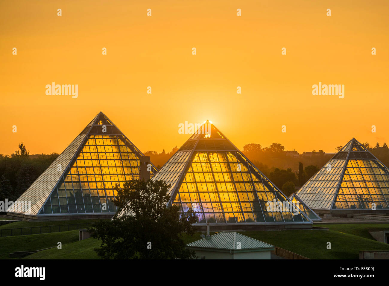 Le lever du soleil, Muttart Conservatory, Botanical Garden, Edmonton, Alberta, Canada Banque D'Images