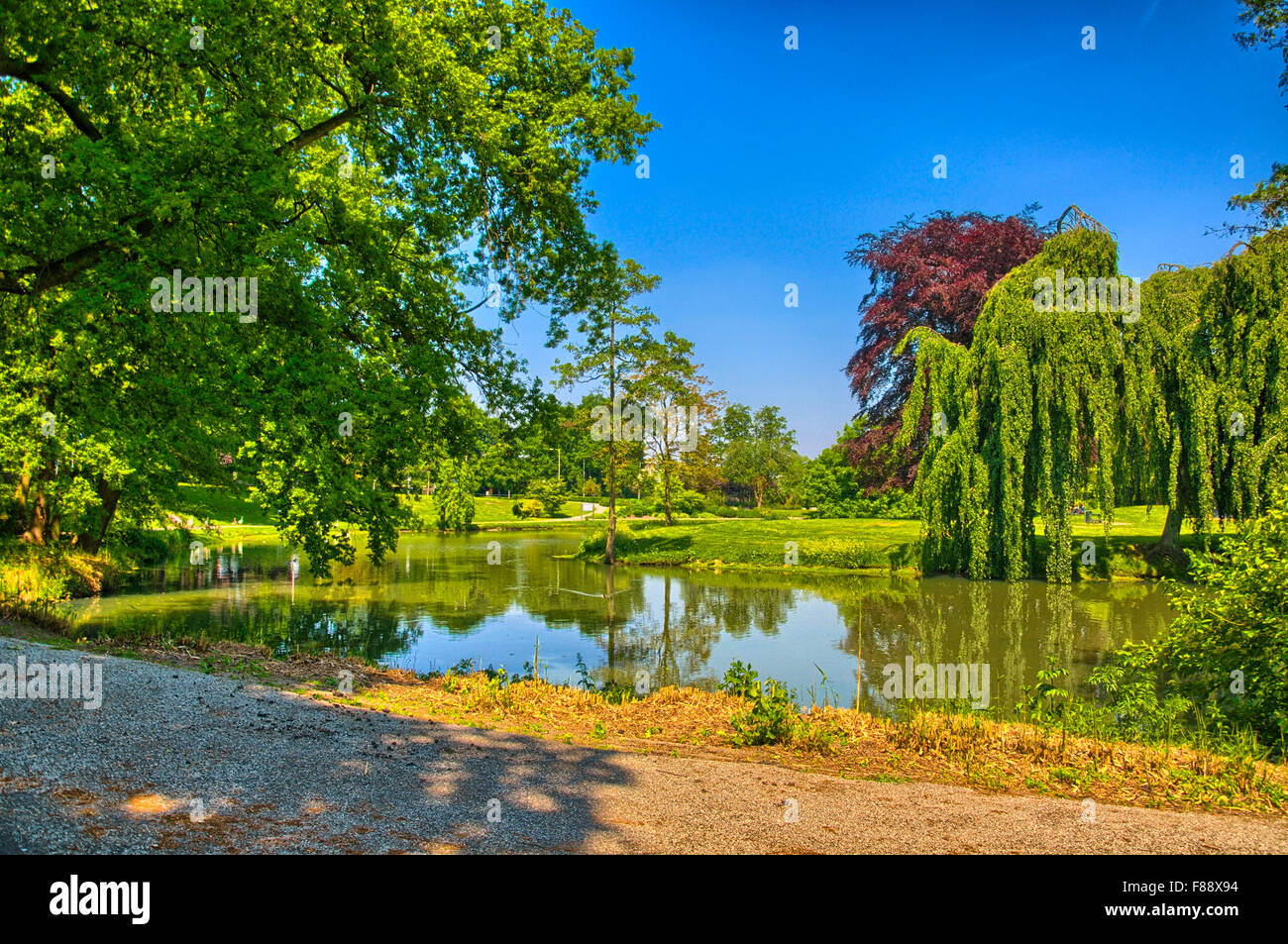 Spring Park. Lac au printemps park. Paysage de printemps. O Begren Banque D'Images