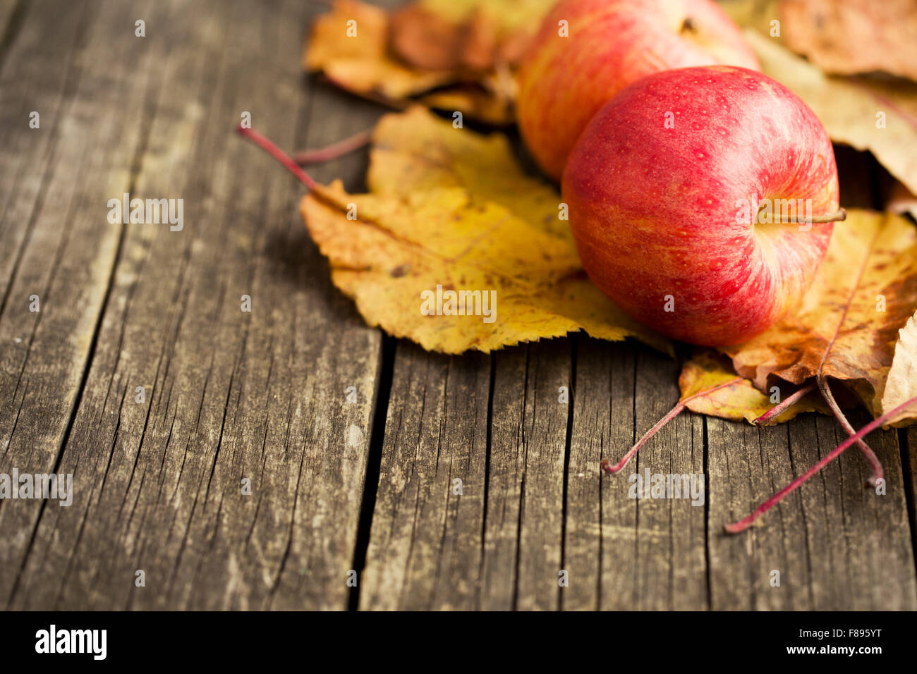 Les pommes d'automne et les feuilles sur la vieille table en bois Banque D'Images