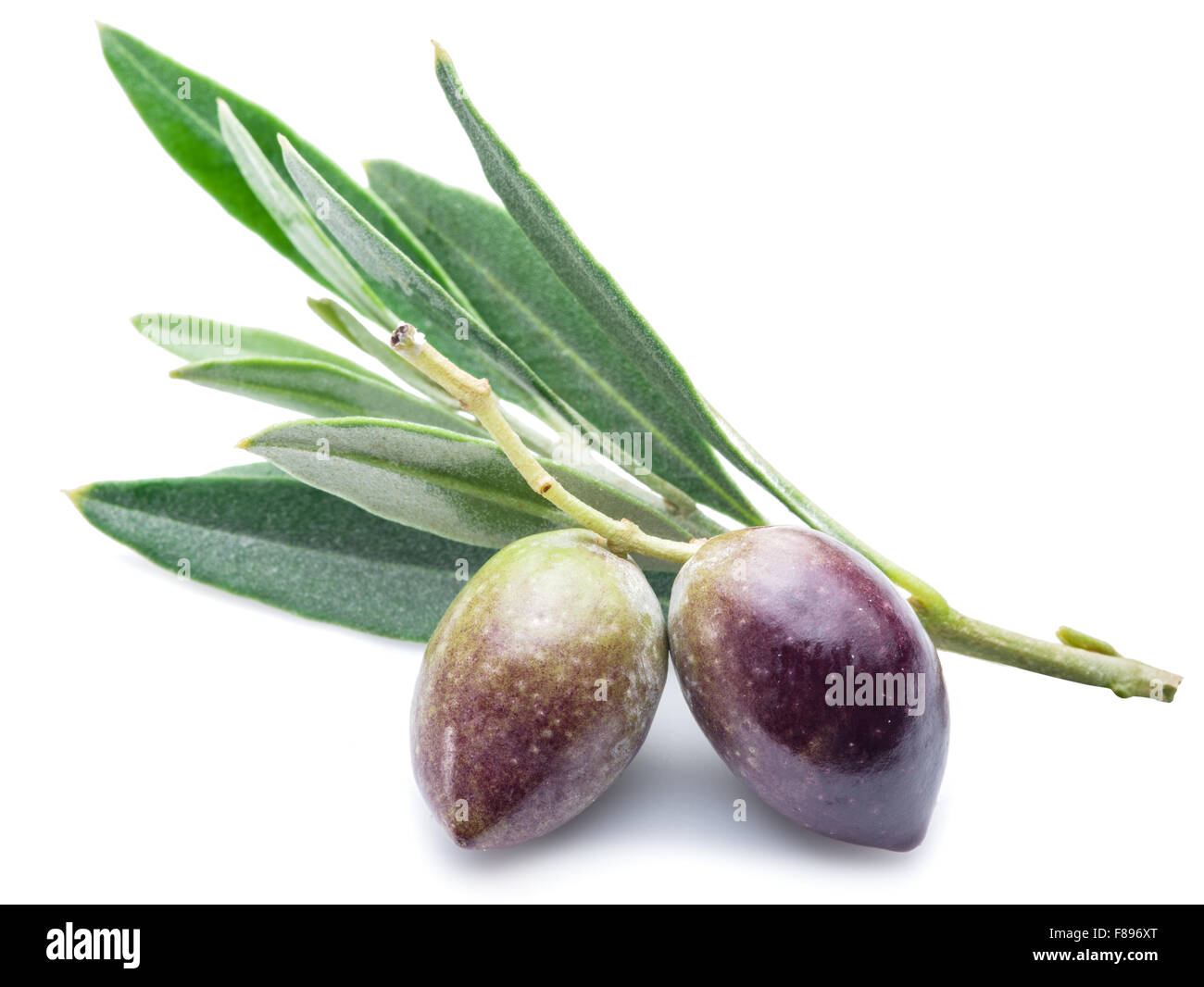 Deux olives fraîches avec des feuilles sur le fond blanc. Banque D'Images