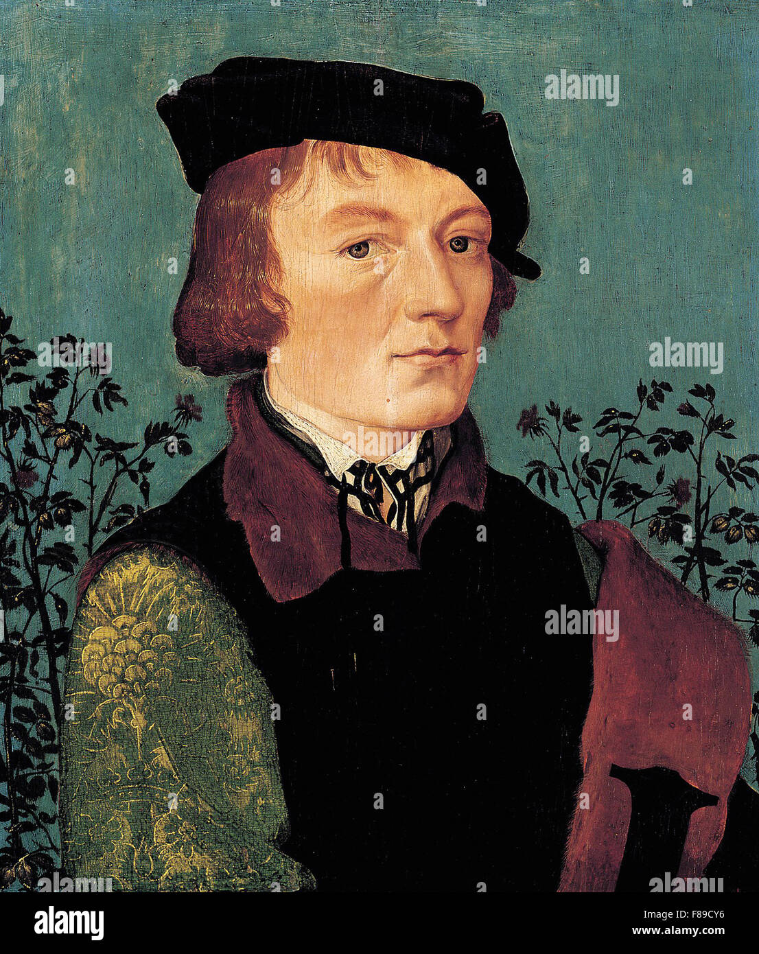 Hans Baldung Grien - Portrait d'un homme en face d'une couverture Rose Banque D'Images