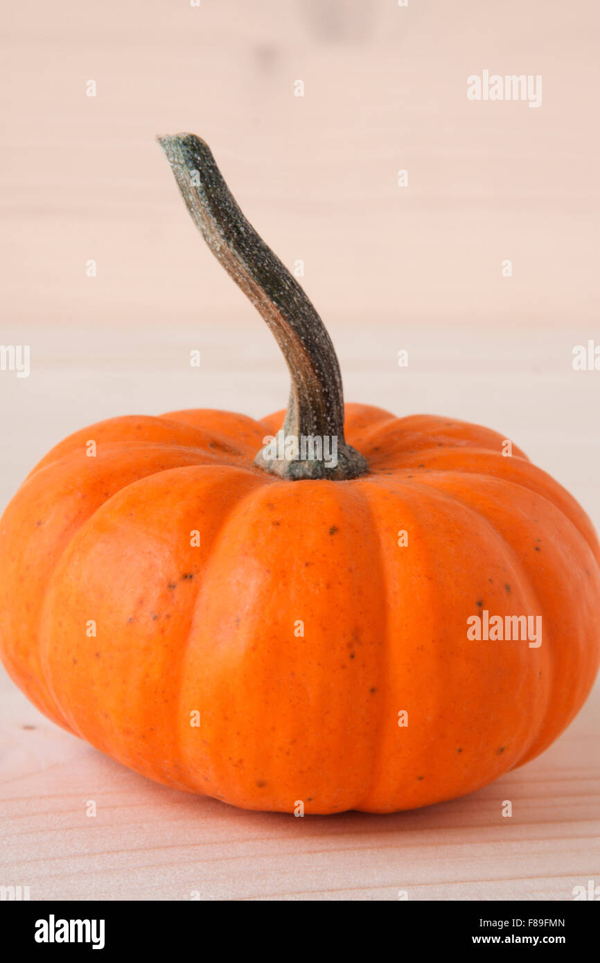 Les citrouilles miniatures Banque D'Images