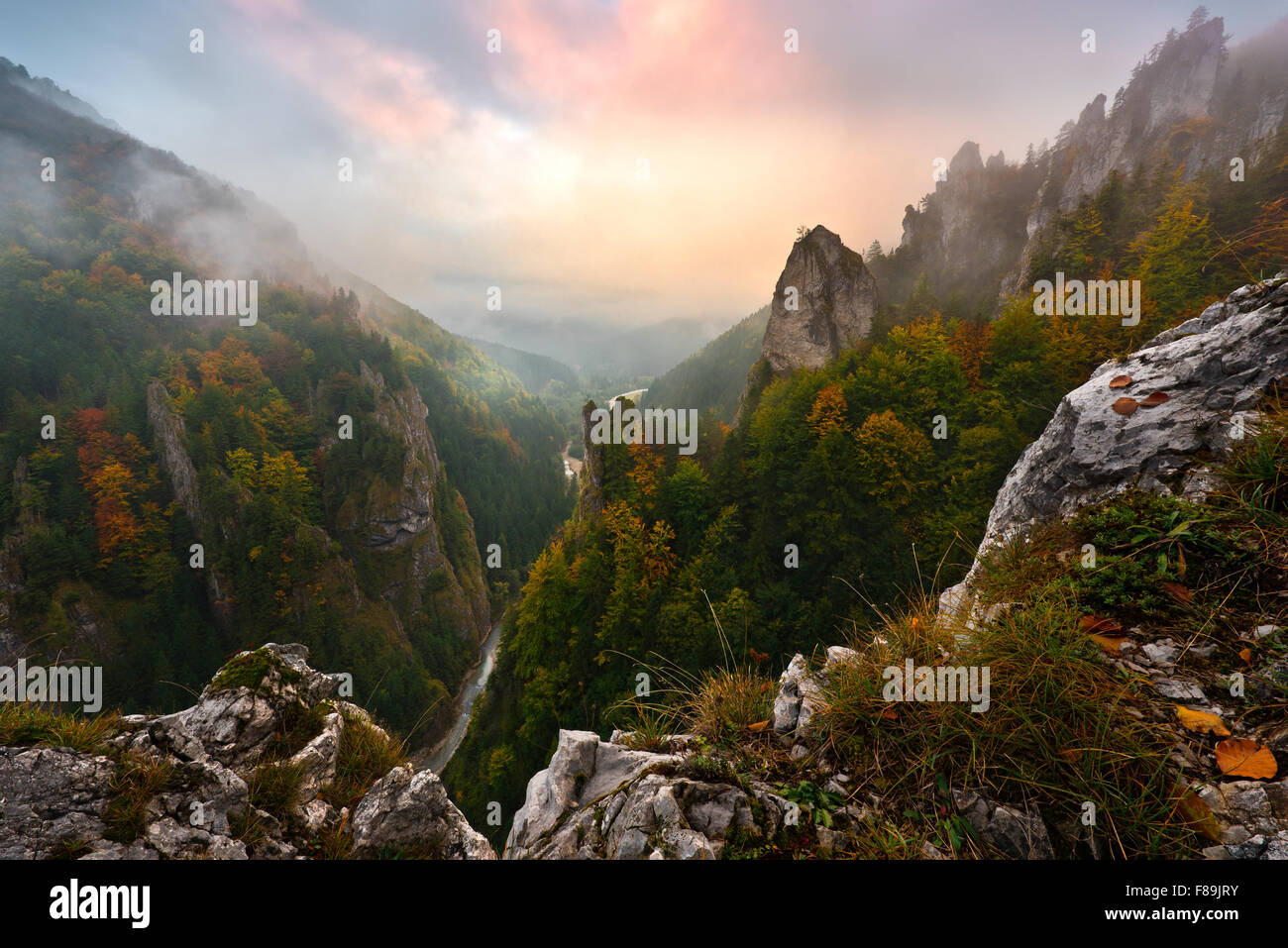 Forêt d'automne, les montagnes des Carpates, de la Slovaquie, de l'Europe Banque D'Images