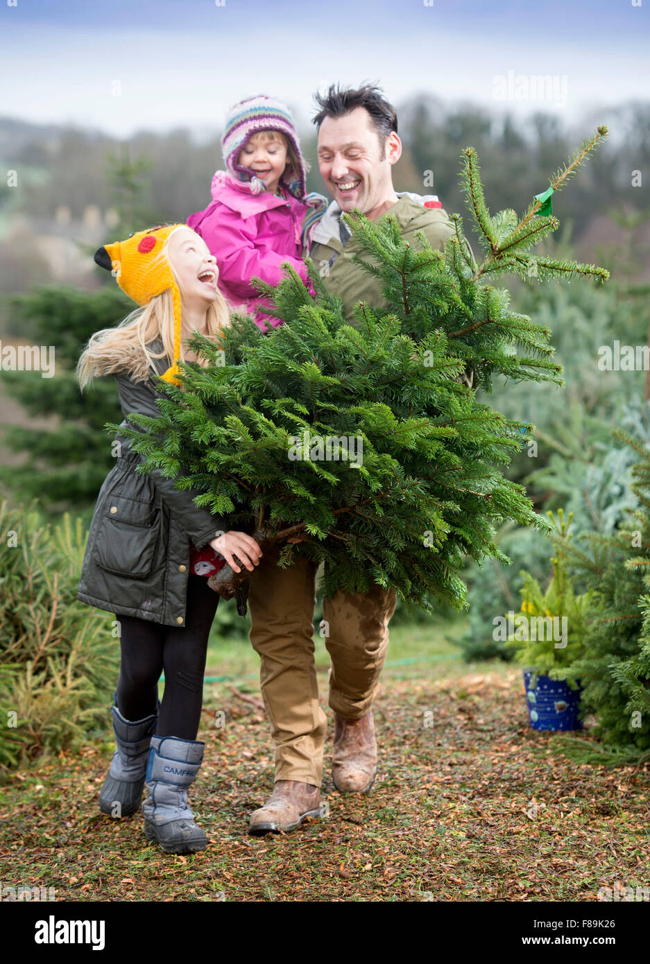 Une famille qui achète leur arbre de Noël de Dowdeswell Foresterie, Gloucestershire UK Banque D'Images