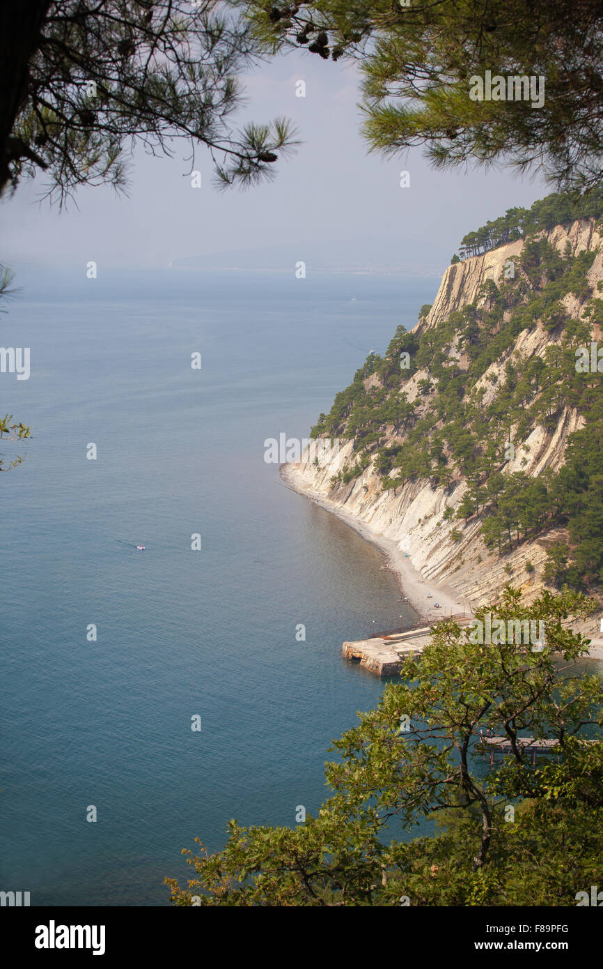 Paysage, Plage, côte sud du Caucase, la mer bleue, les rochers, les montagnes, dans les fissures des roches, des pins sur les roches Banque D'Images