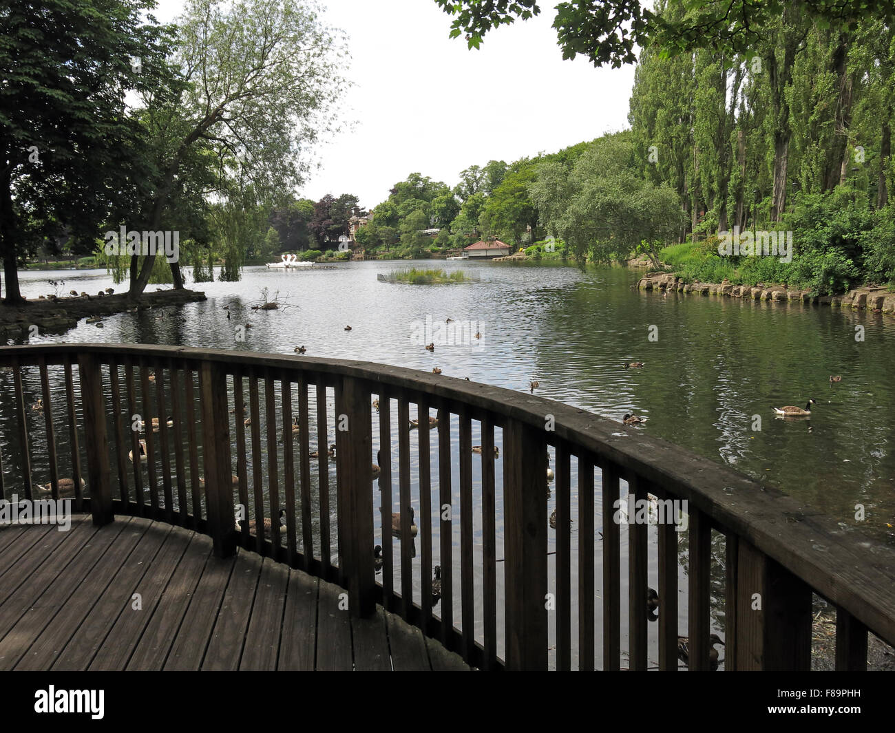 Walsall Arboretum lac en été, West Midlands, England, UK Banque D'Images