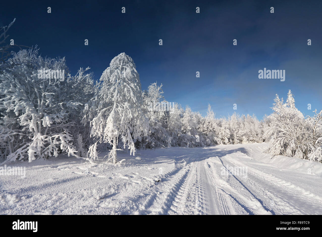 Froide journée d'hiver ensoleillée en Biélorussie Banque D'Images