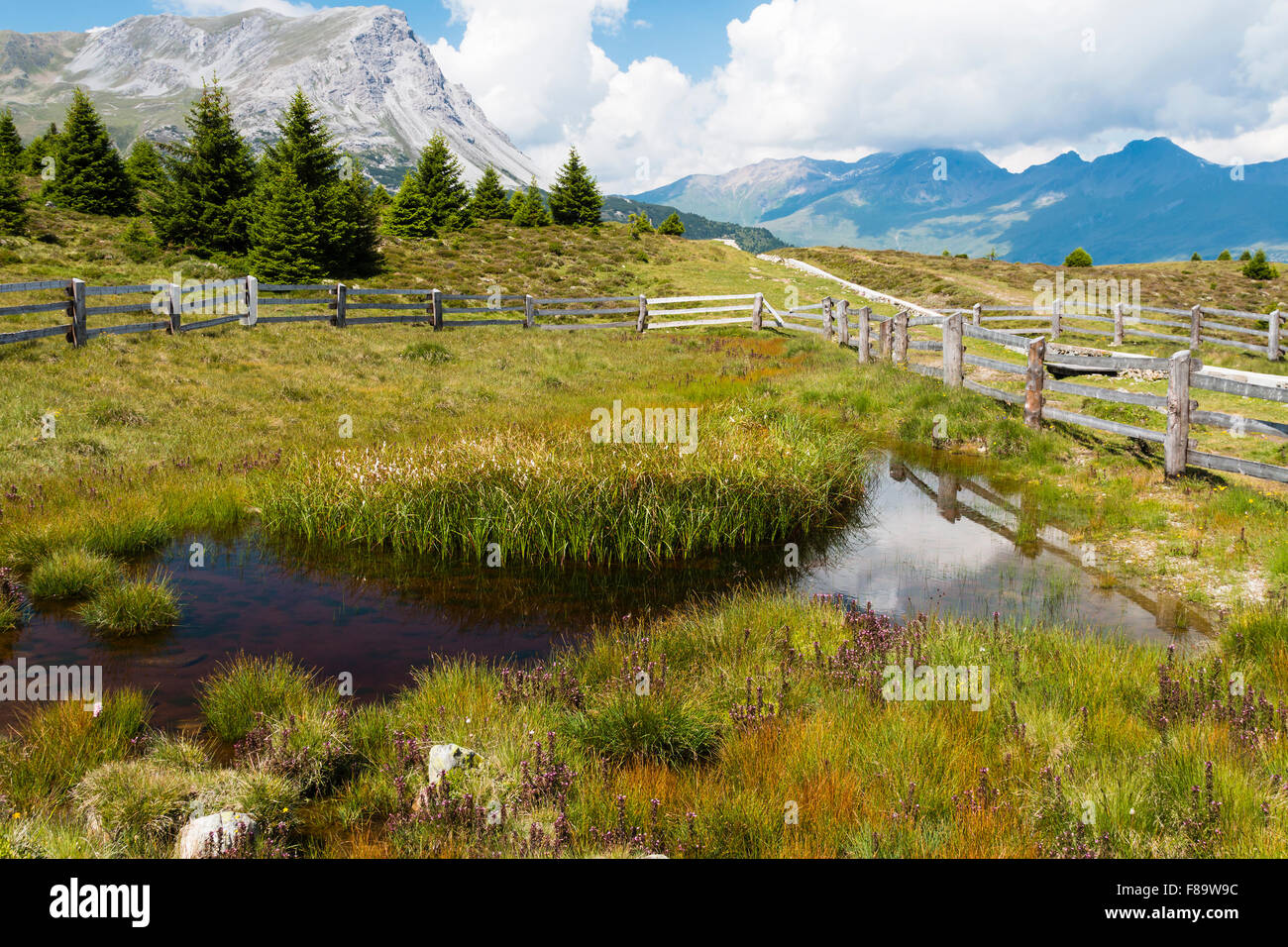 Le Plamort hill moor sur la frontière entre l'Autriche et l'Italie Banque D'Images