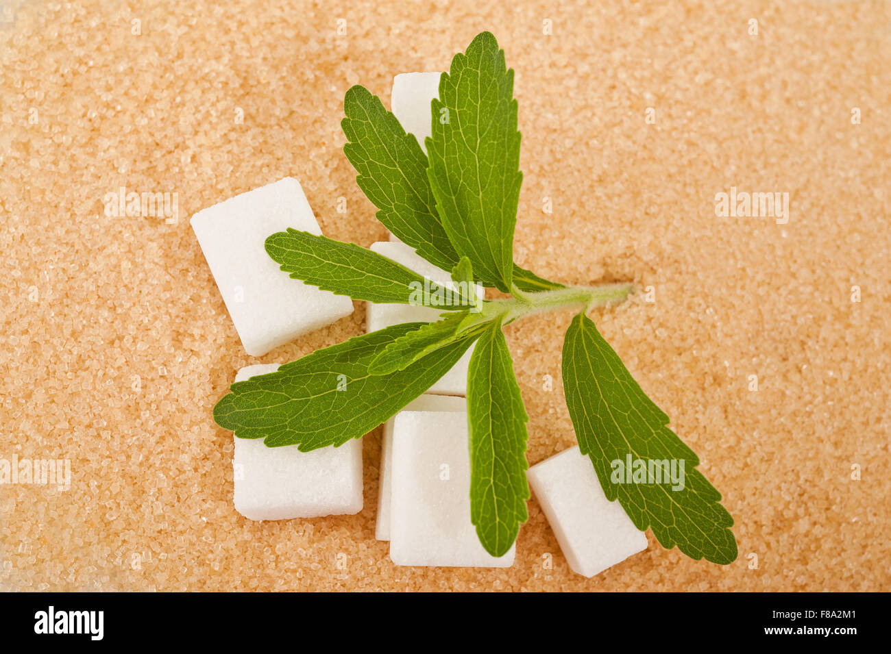 Le sucre de canne, le sucre blanc et le stevia Photo Stock - Alamy