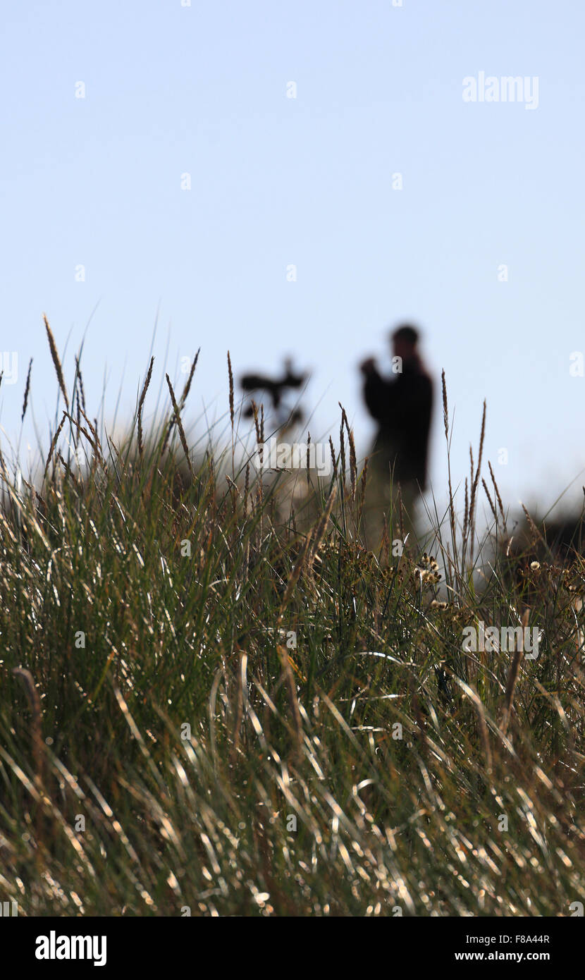 Un homme l'observation des oiseaux à Holme Dunes réserve naturelle sur la côte de Norfolk. Banque D'Images