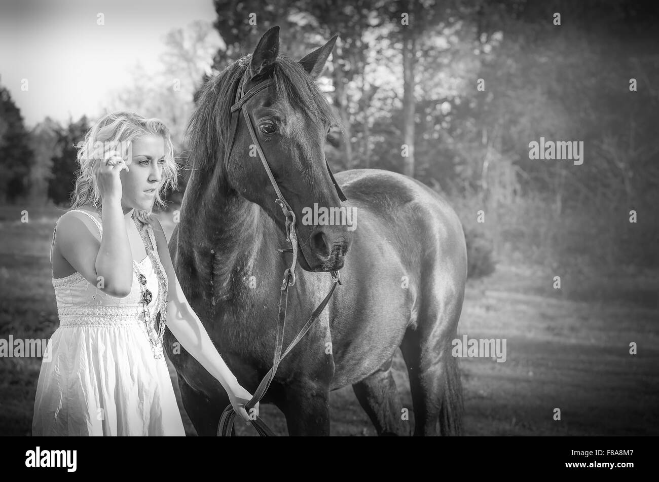 Femme avec cheval noir à la recherche dans un secteur boisé hazed sun Banque D'Images