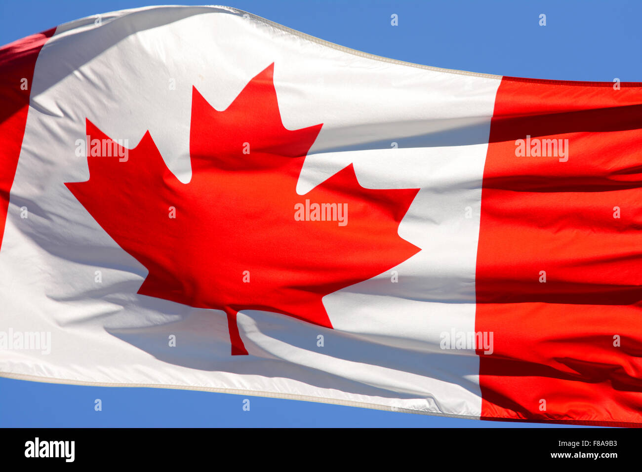 Drapeau canadien dans le vent Banque D'Images