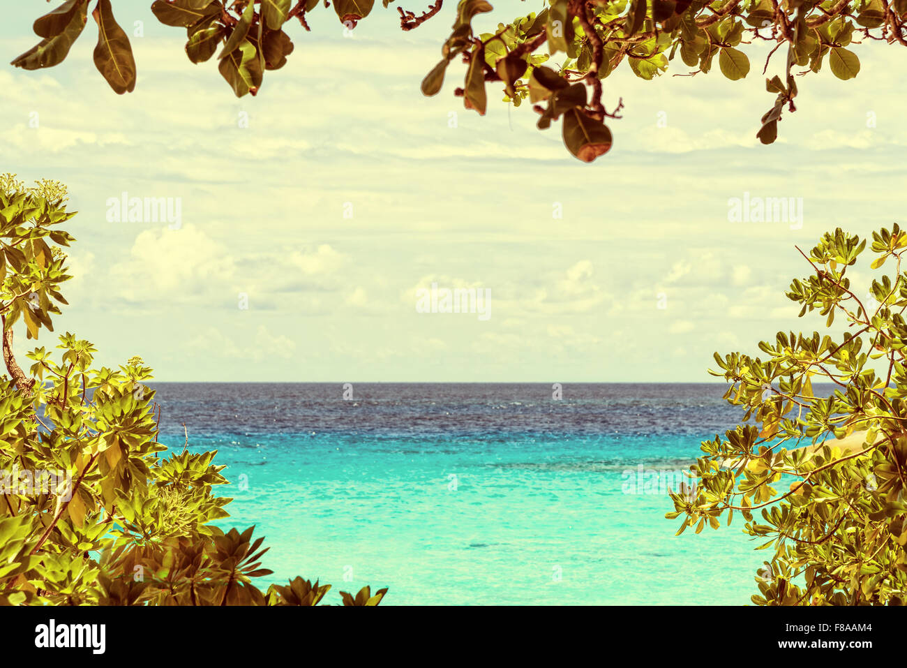 Paysage naturel magnifique ciel bleu et la mer ont des feuilles et l'arbre est une trame de fond style vintage à l'île de Koh Miang Banque D'Images