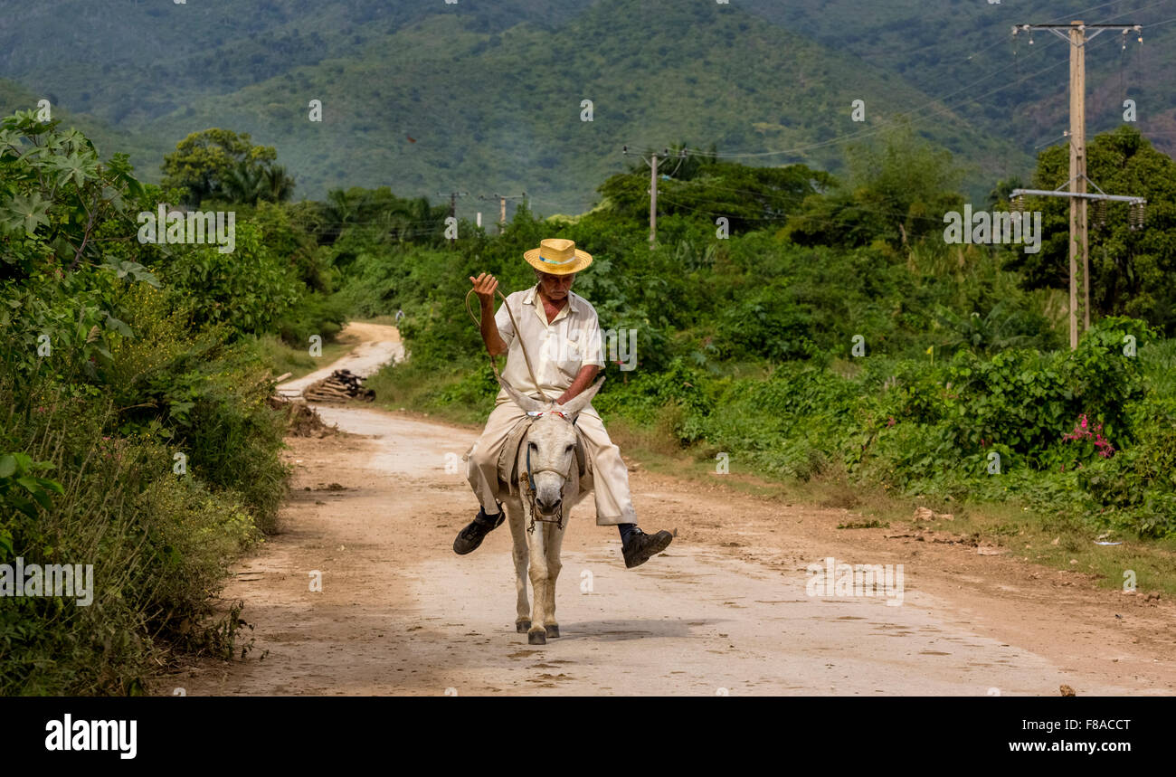 Ancien agriculteur cubain sur un âne mule avec chapeau en Valle de los Ingenios, Sombrero, Trinidad, Cuba, Santiago de Cuba, d'Amérique du Nord Banque D'Images