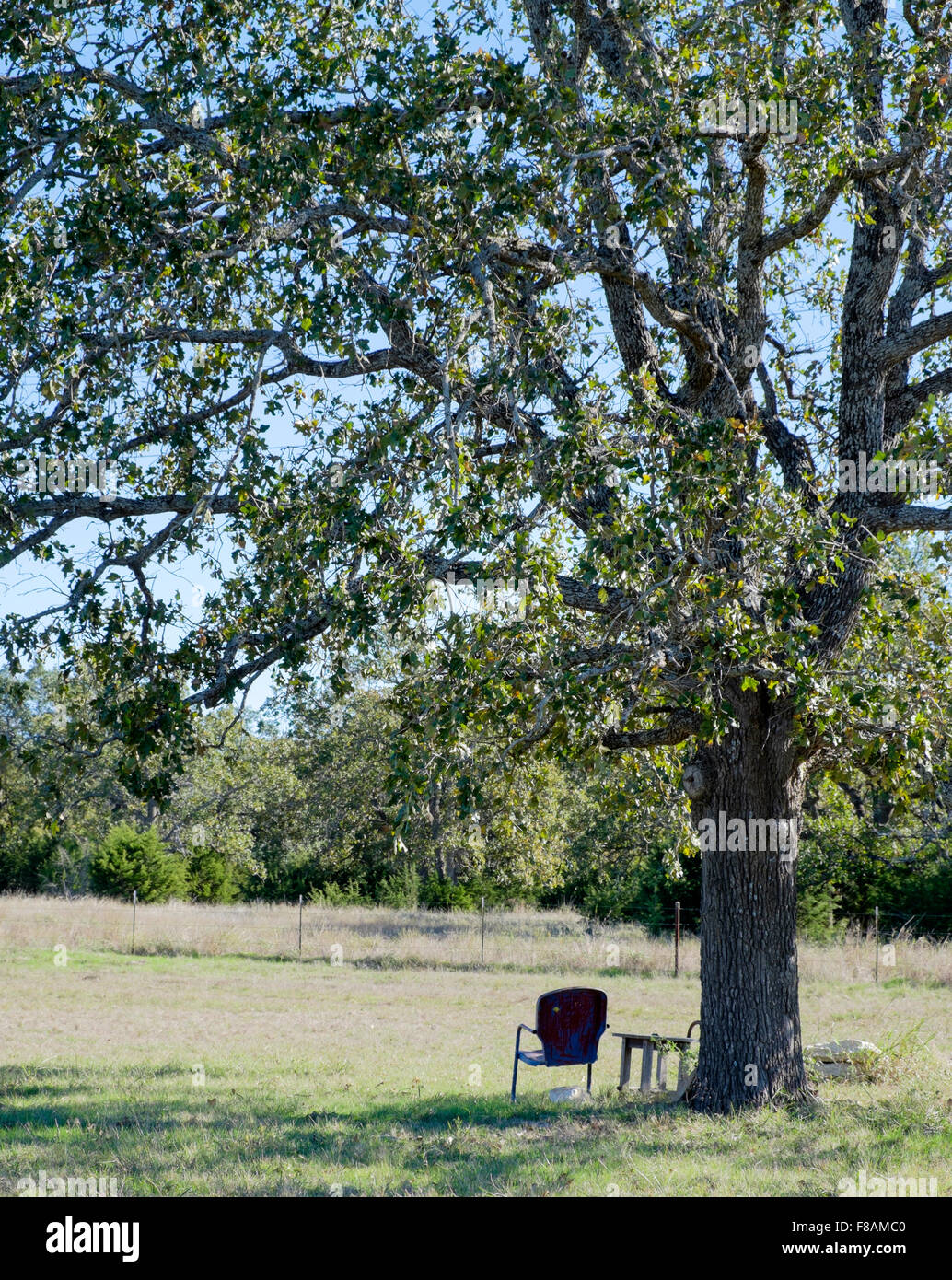 Scène bucolique de chaise et table sous un arbre d'ombrage dans un pré dans le centre du Texas Banque D'Images