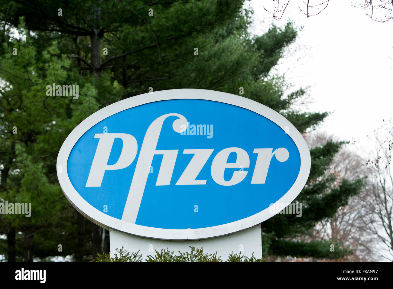 Un logo affiche à l'extérieur d'un établissement occupé par Pfizer, Inc., à Parsippany, New Jersey le 22 novembre 2015. Banque D'Images