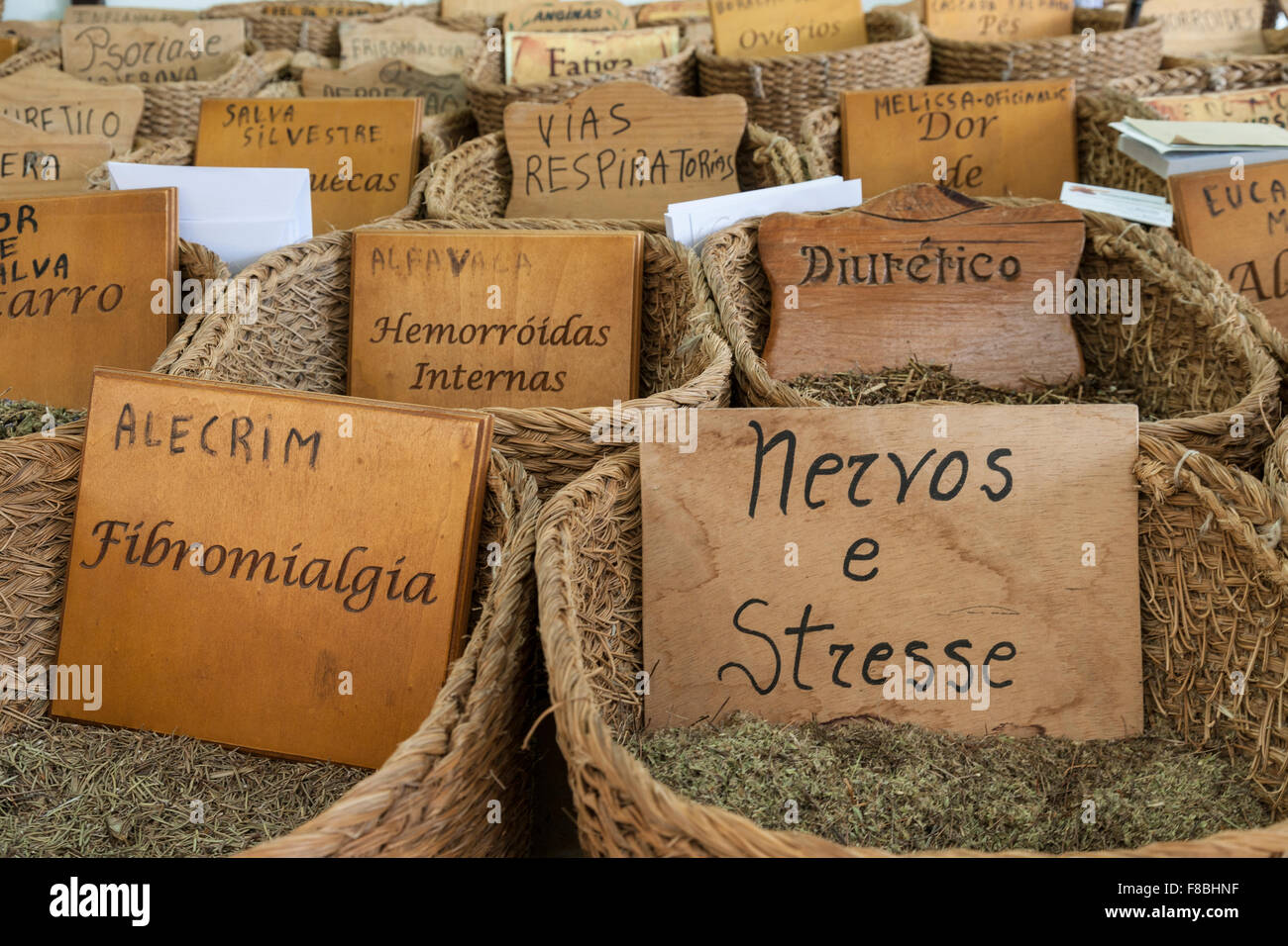 Médicaments à base de plantes dans des paniers. Langue Portugaise. Banque D'Images