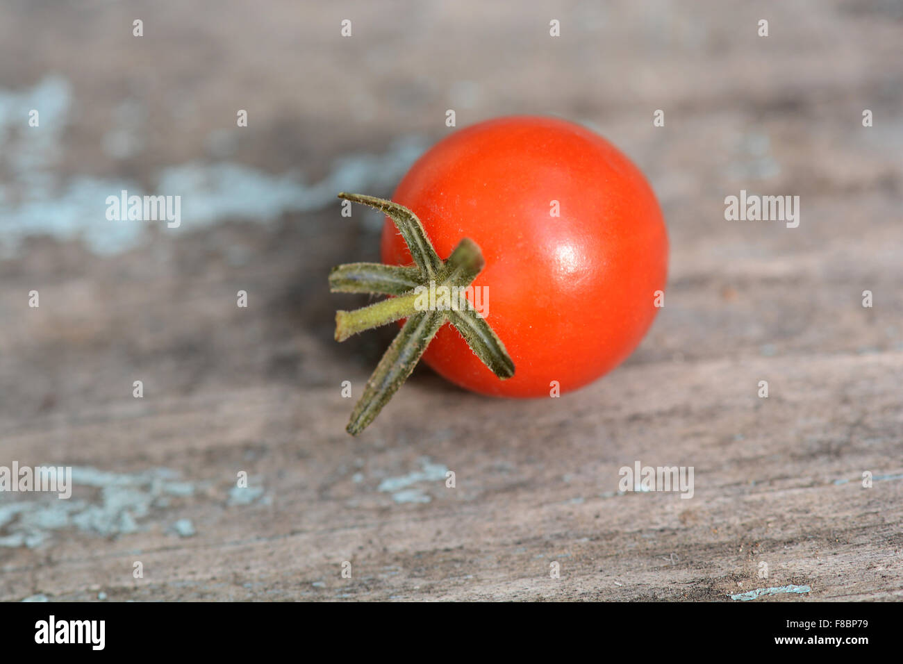 Tomates cerises rouges sur un fond sombre Banque D'Images