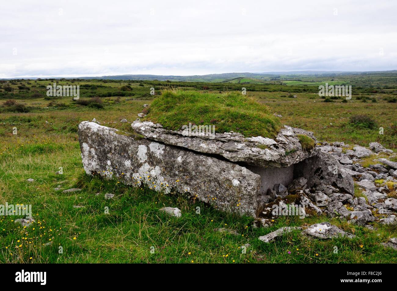 Parkanbinnia Killinaboy Wedge tombe dans le comté de Clare Irlande Banque D'Images