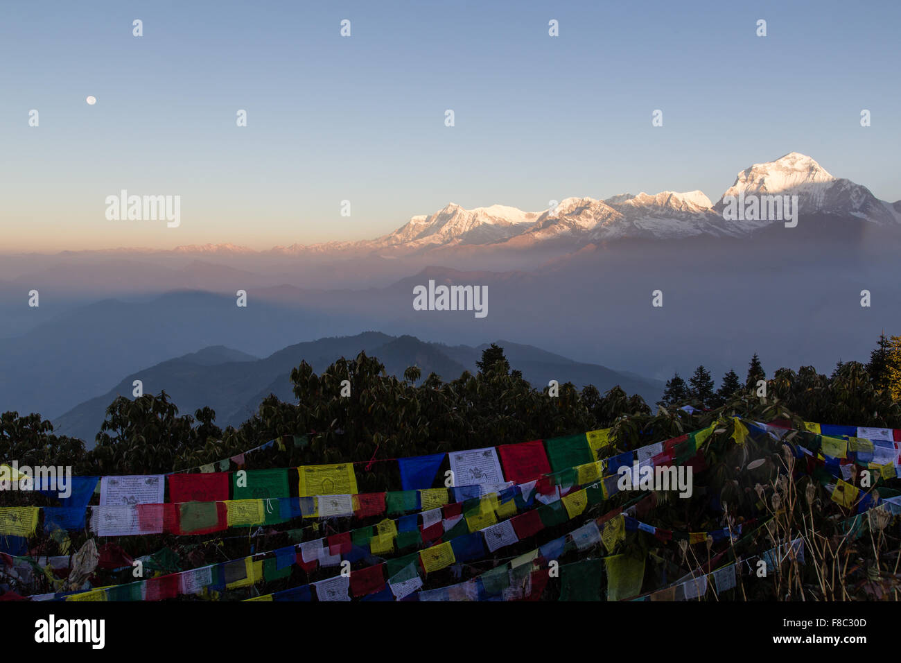 Lever du soleil et la pleine lune avec vue sur la montagne de Dhaulagiri Poon Hill sur le circuit de l'Annapurna. Banque D'Images