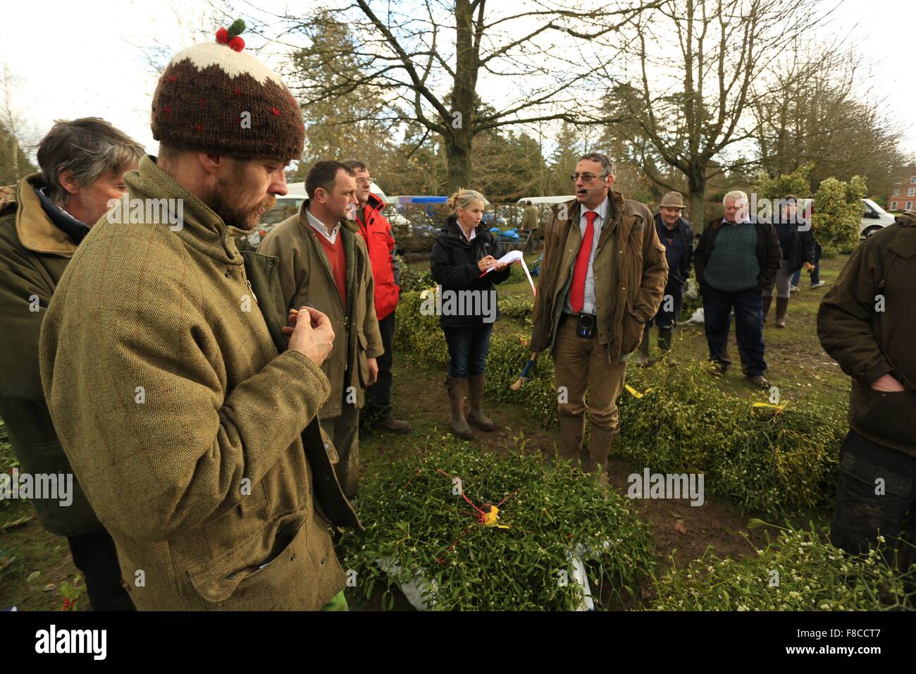 Le gui et le houx d'hiver annuel enchères avant Noël chaque année à Tenbury Wells Angleterre Worcestershire. Banque D'Images