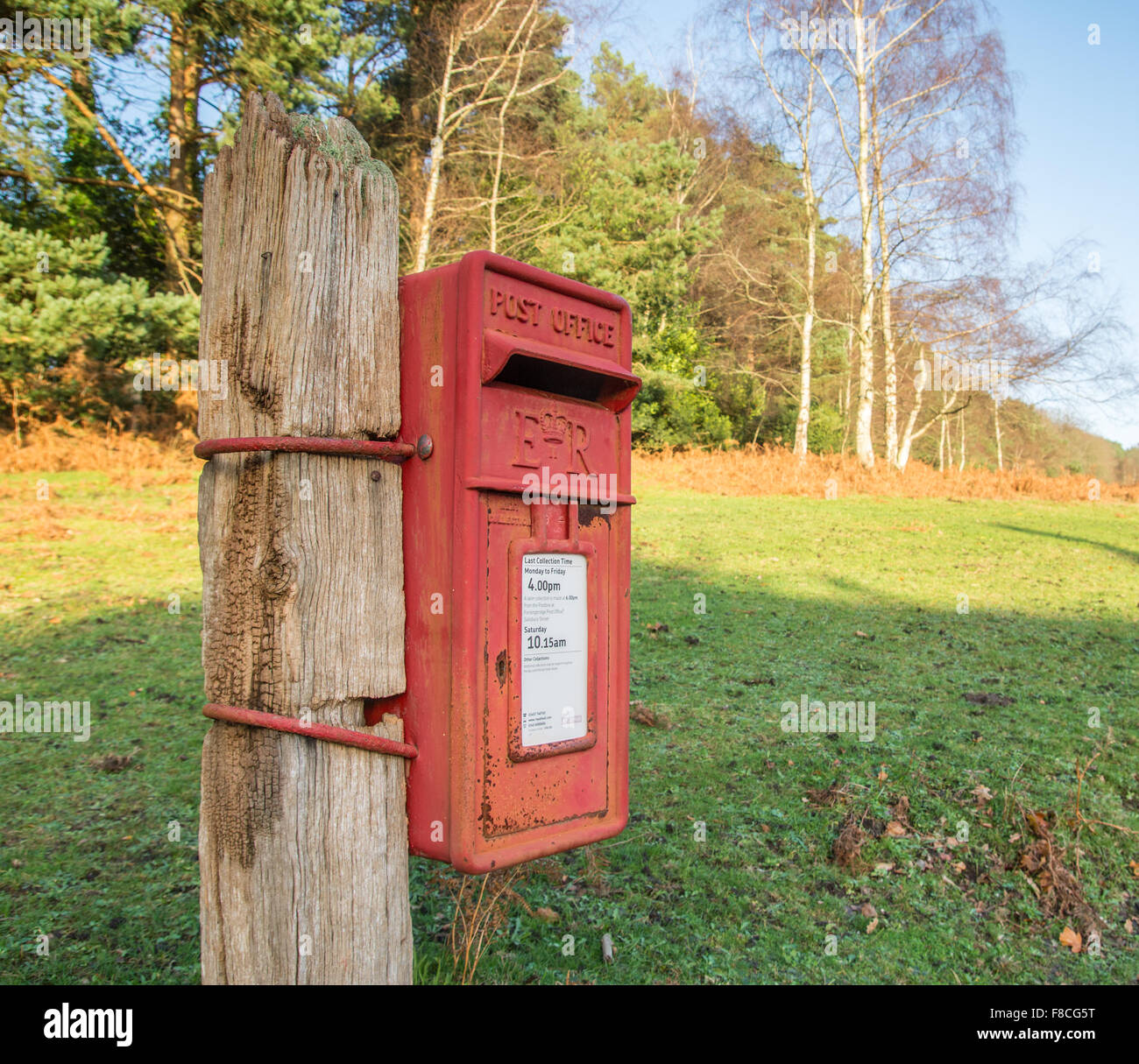 Royal Mail Poster collection fort dans un emplacement rural, New Forest, Hampshire. Banque D'Images